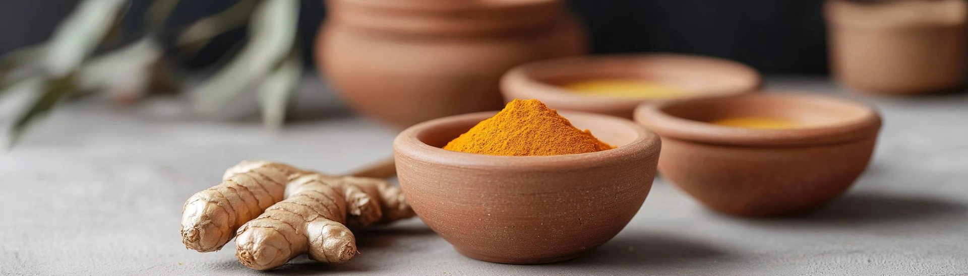 NovoCurmin® <span>Next-Generation Curcumin with Superior Bioavailability and Patented Matrix Technology</span>